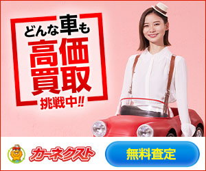 時間がない方に好評！電話1本で査定完了の高価車買取【カーネクスト】